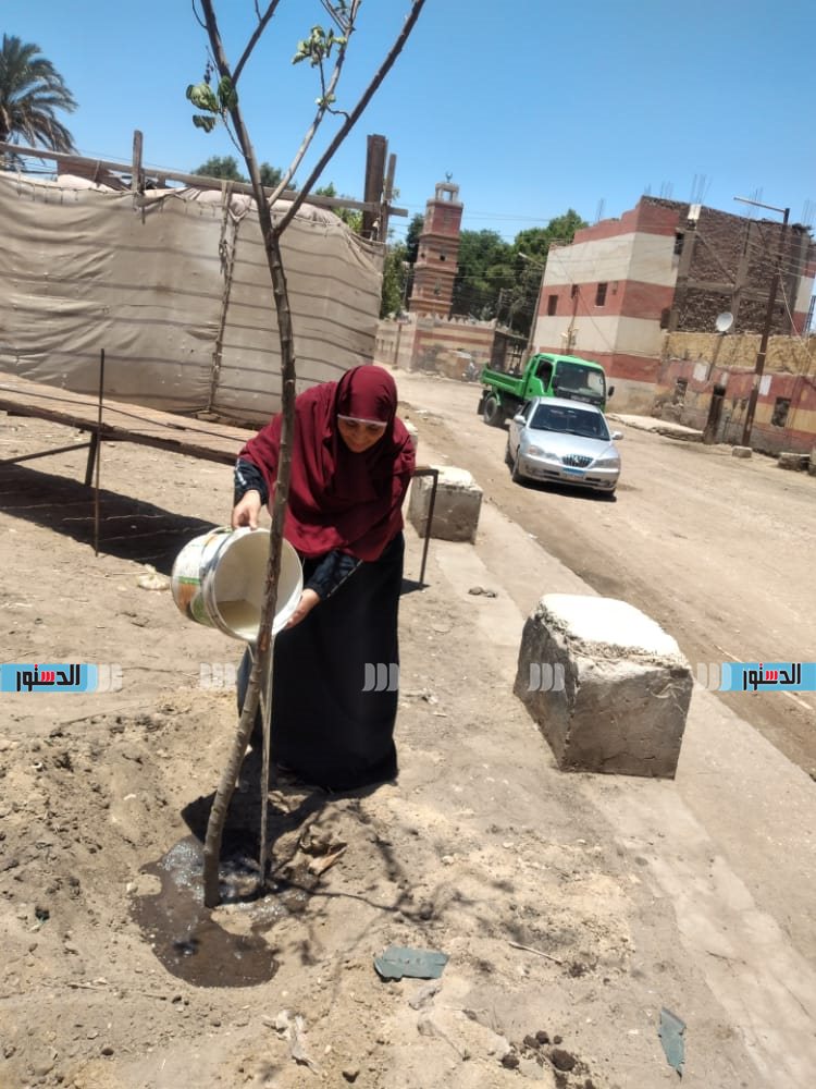 حملة نظافة وتشجير وندوات توعية بقرية بني مر بمركز الفتح  (4)
