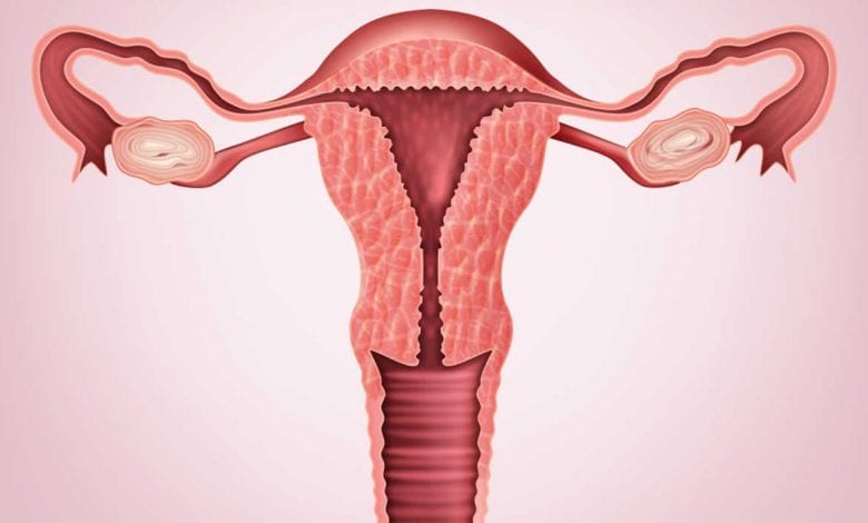 بطانة الرحم المهاجرة لماذا تسبب تأخر الإنجاب وكيف نكتشفها ؟ - الحمل  والولادة - فورنونو