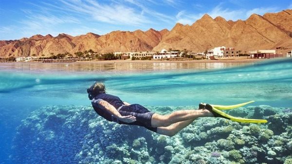 موقع كندى يصنف مصر ضمن 10 أماكن فريدة من نوعها للسباحة مع الخيول