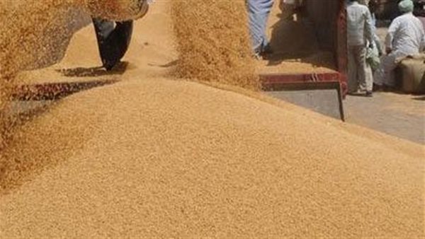 خبير آسيوي لـ«الدستور»: الهند ملتزمة مع مصر وتسعى لتلبية احتياجاتها من القمح