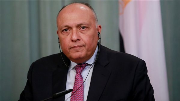 وزير الخارجية: تعاون مصر وقبرص مستمر لتحقيق الاستقرار فى شرق المتوسط