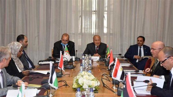 أبو الغيط يؤكد أهمية تعزيز التعاون العربي الأفريقي