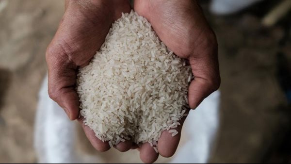 «تموين الدقهلية»: توريد 82 ألفا و641 طن أرز شعير حتى الآن