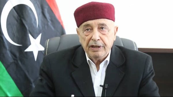 النواب الليبى يدعم حكومة الاستقرار المكلفة.. ويطالب بإجراء انتخابات رئاسية وتشريعية قريبًا