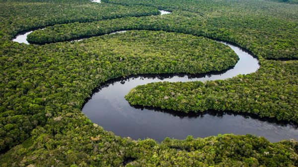 الرئيس البرازيلى يكشف خطة وقف إزالة غابات الأمازون