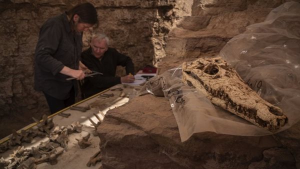 صحيفة أوروبية: اكتشاف أسوان الأثرى من أندر وأفضل اكتشافات التحنيط