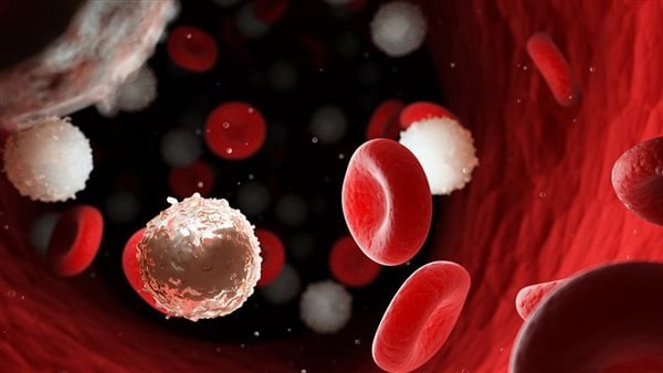 تطوير اختبار جيني لتحديد فاعلية وكفاءة أدوية سرطان الدم