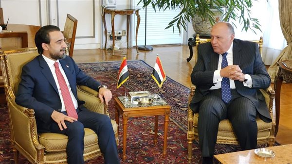 خلال اجتماعه مع الحلبوسى.. شكرى يؤكد دعم مصر الكامل لأمن واستقرار العراق