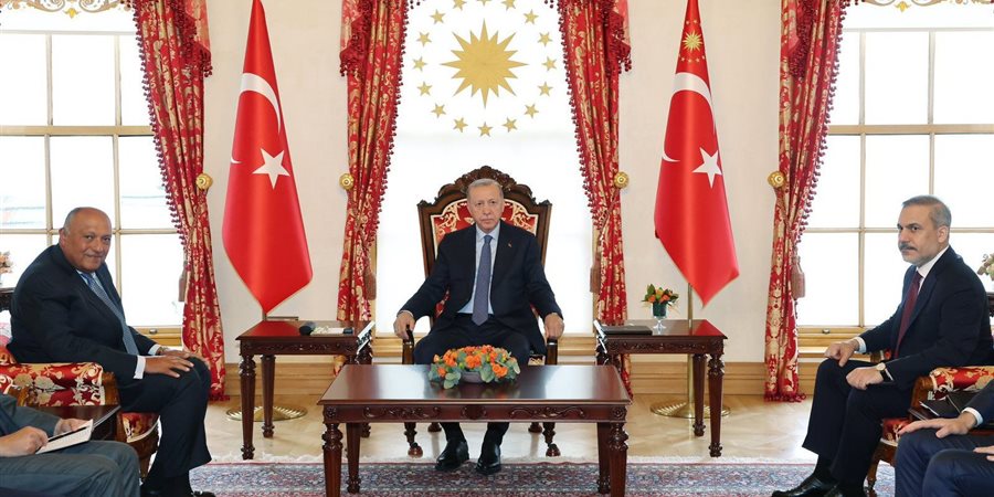 شكرى ينقل رسالة من الرئيس السيسى إلى أردوغان